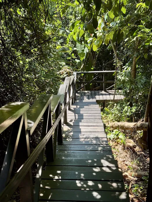 KL Forest Eco Park Canopy Walk Picture 4