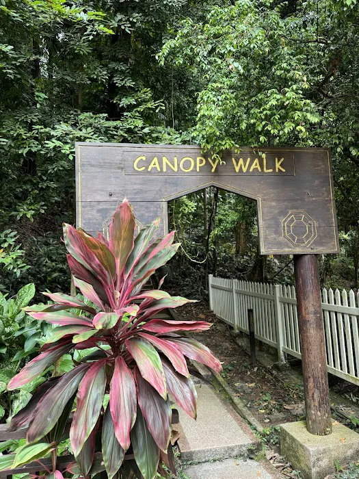 KL Forest Eco Park Canopy Walk Picture 1