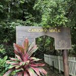 KL Forest Eco Park Canopy Walk