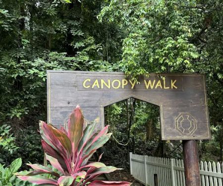 KL Forest Eco Park Canopy Walk