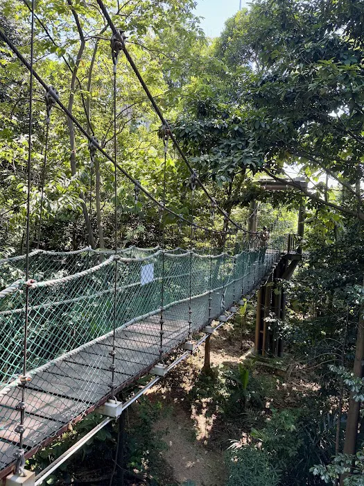 KL Forest Eco Park Canopy Walk Picture 8