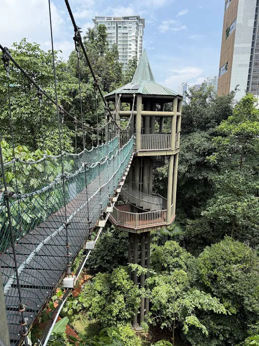 KL Forest Eco Park Canopy Walk Picture 2
