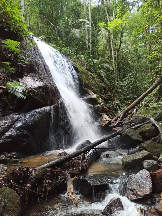 Falls Commonwealth Rawang Picture 2