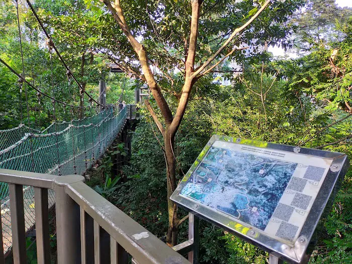 Bukit Nanas Forest Reserve Picture 3
