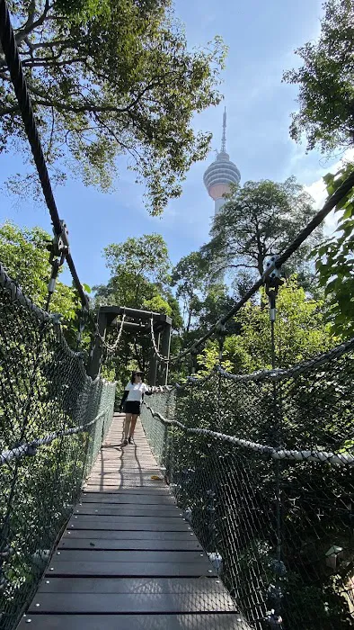 Bukit Nanas Forest Reserve Picture 5
