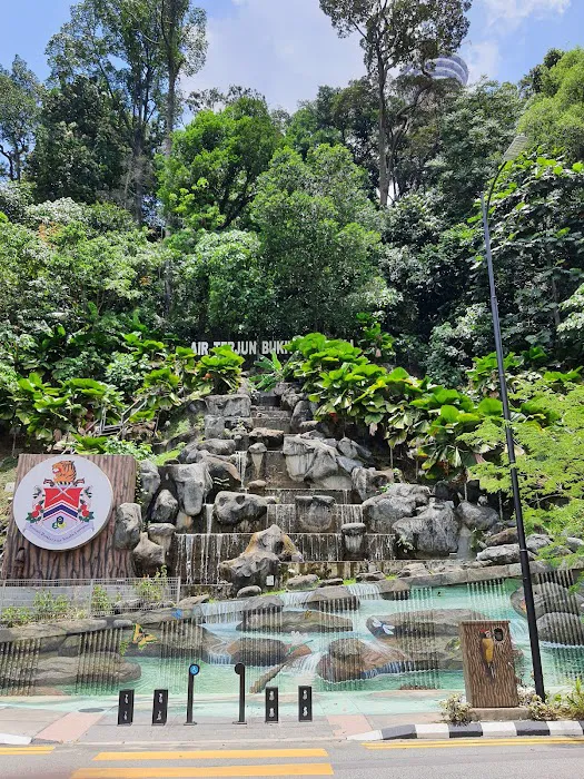 Bukit Nanas Forest Reserve Picture 10