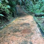 Bukit Nanas Forest Reserve