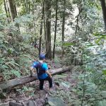 Taman Eko Rimba Kanching Trailhead