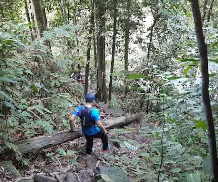 Taman Eko Rimba Kanching Trailhead