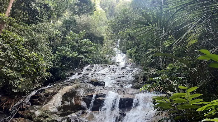 Taman Eko Rimba Kanching Trailhead Picture 4