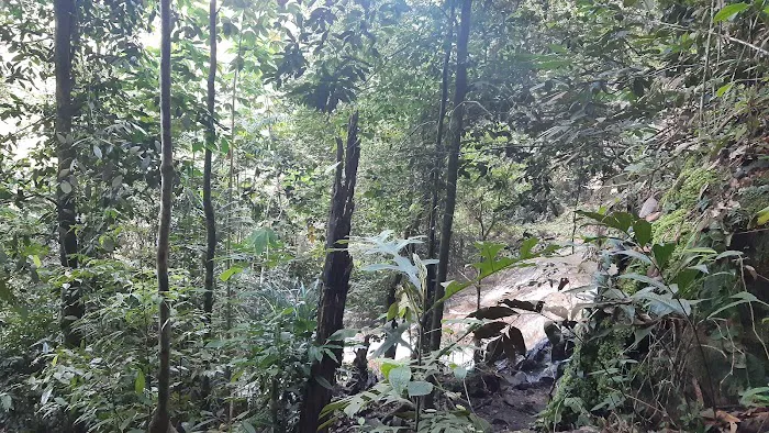 Taman Eko Rimba Kanching Trailhead Picture 3