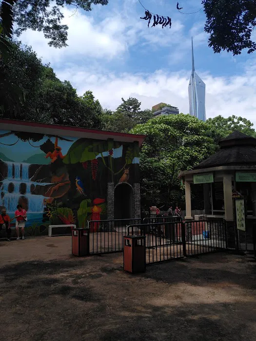 KL Forest Eco Park Picture 4