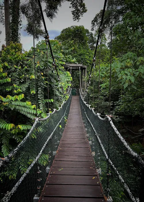 KL Forest Eco Park Picture 3