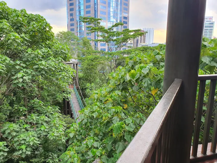 KL Forest Eco Park Picture 9
