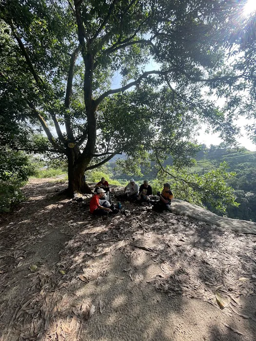 Denai Tiga Puteri Peak (Bukit Permatang Resam) Picture 10
