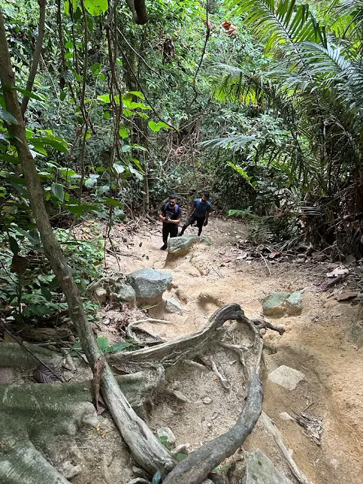 Denai Tiga Puteri Peak (Bukit Permatang Resam) Picture 4