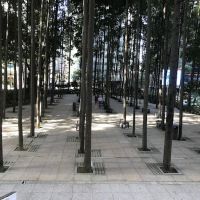 Taman Standard Chartered Kuala Lumpur ico