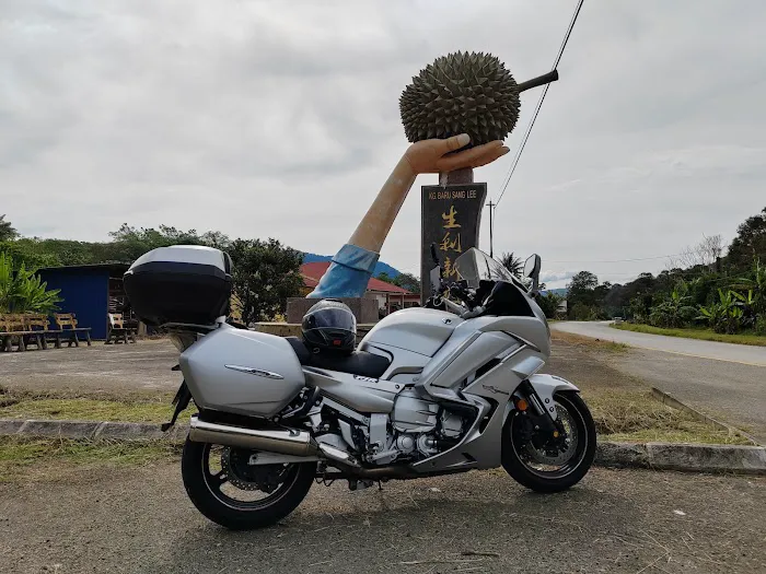 Durian Iconic Statue Picture 7