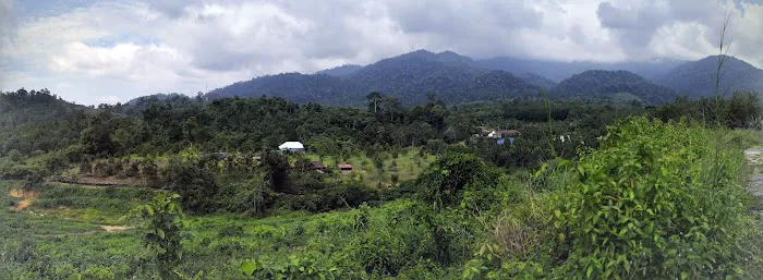 Musolla Mohamad Salleh Mukmin Picture 6