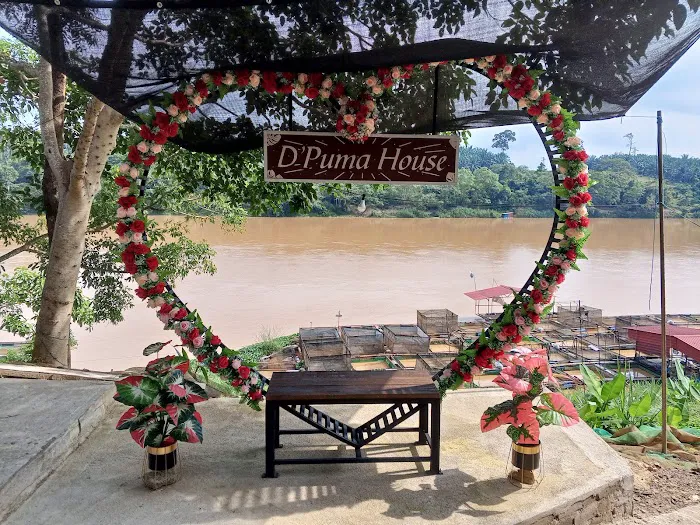 D’PUMA HOUSE Picture 1