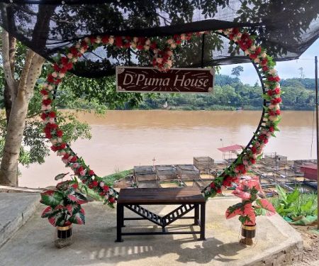 D’PUMA HOUSE