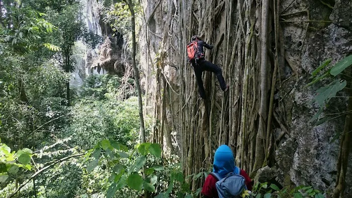 Gua Bama Picture 7