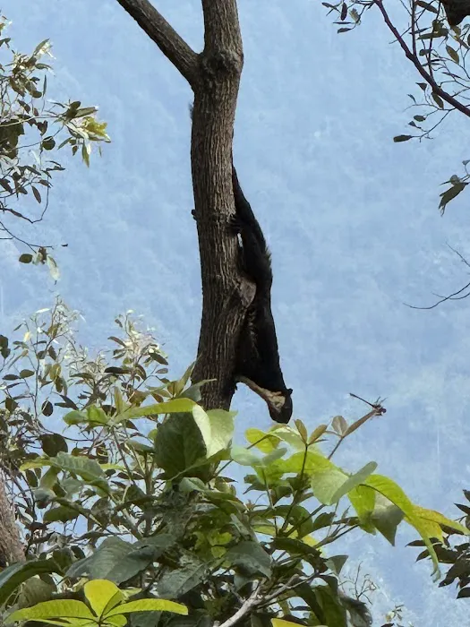 Batu Belah Picture 4