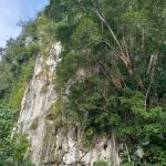 Gua Bama