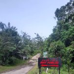 Bukit Peninjau