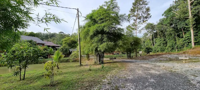 Latar Siku Adventurous Picture 5