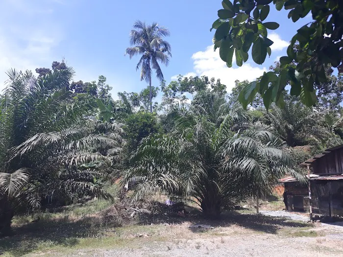 Masjid Damak Picture 3