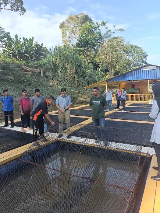 Rumah Rakit D'jongkei Kelola Picture 7