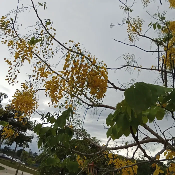 Taman Bandar Raub Picture 3