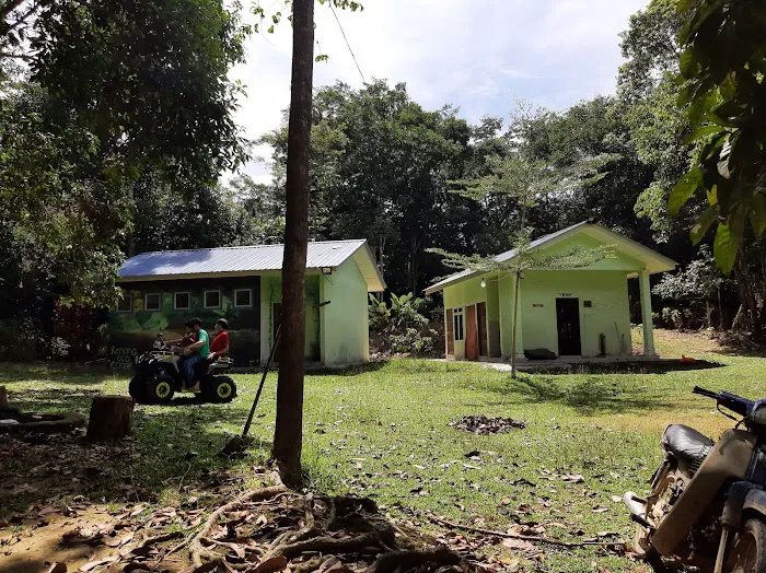 Kenong Eco Camp Picture 1
