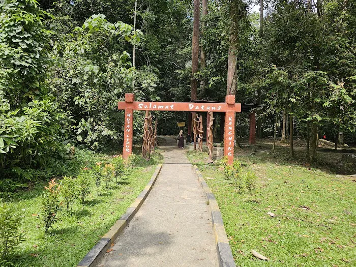 Kanching Waterfall Top Picture 4
