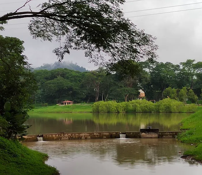 Taman Tasik Raub Picture 1