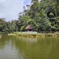 Allan's Water @ Fraser's Hill ico