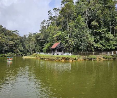 Allan's Water @ Fraser's Hill