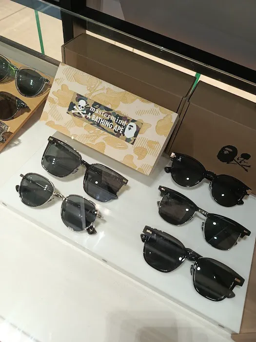 Myvision Eyewear Picture 4
