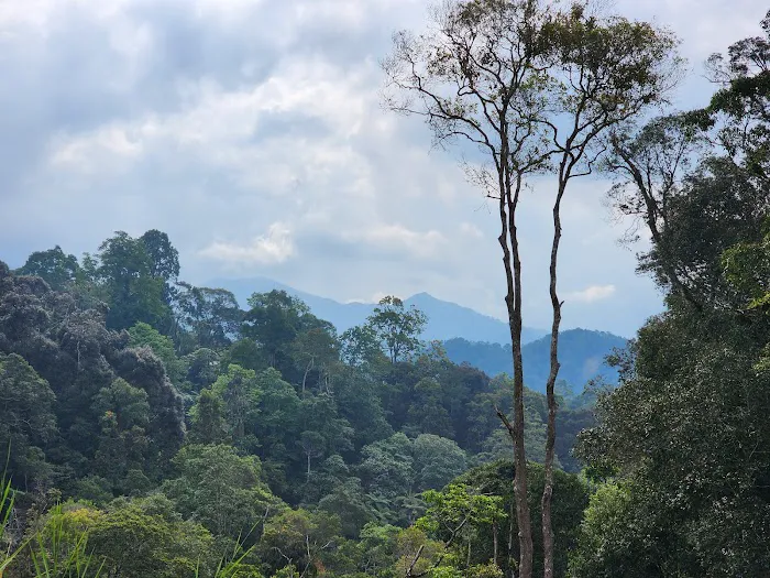 Fraser’s Hill (Bukit Fraser) Picture 9
