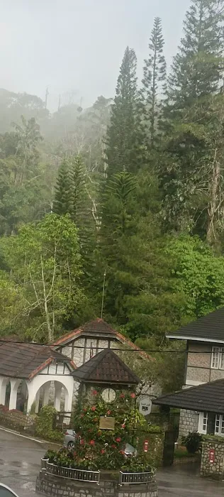 Selamat Datang Ke Bukit Fraser Picture 7