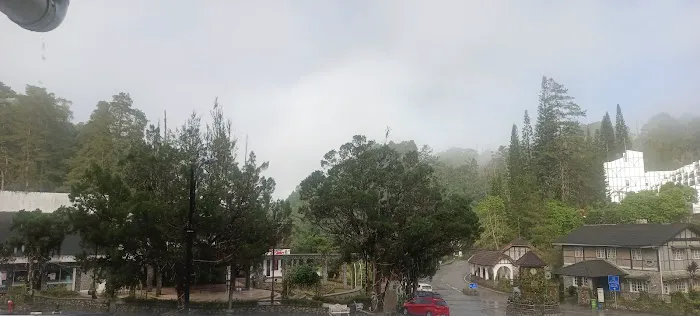 Selamat Datang Ke Bukit Fraser Picture 8