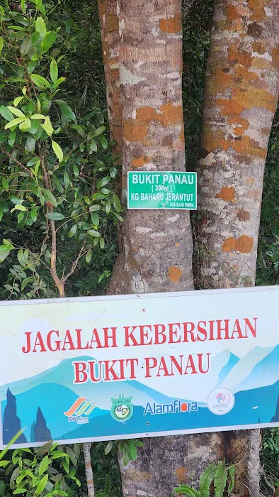 Bukit Panau View Point Picture 6