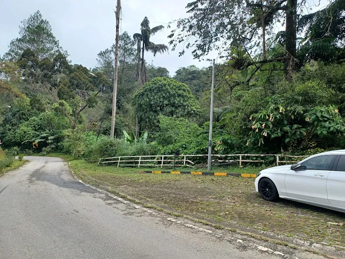 Fraser's Hill Exit Road Picture 9