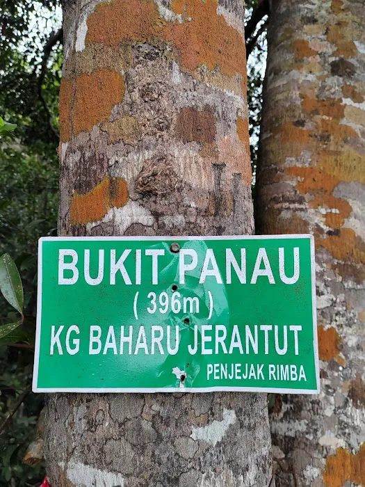 Bukit Panau Picture 5