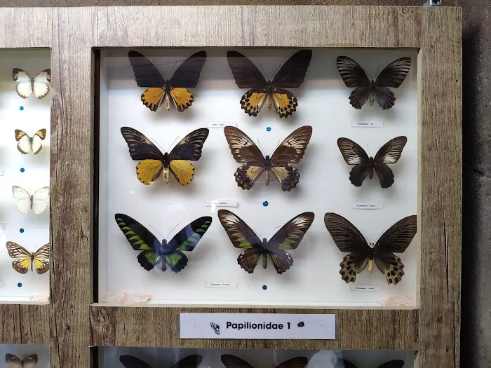 Butterfly Wonderland Picture 1