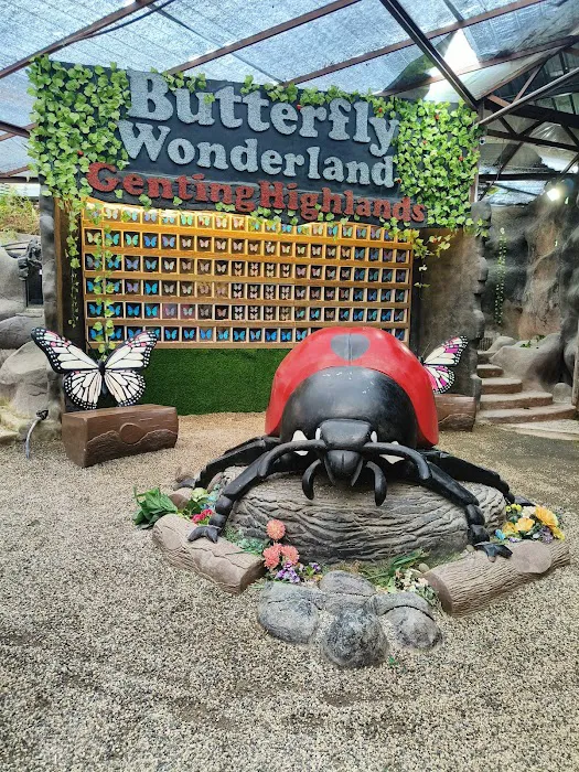 Butterfly Wonderland Picture 2