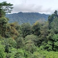 Jambatan Fraser's Hill (Bridge) ico