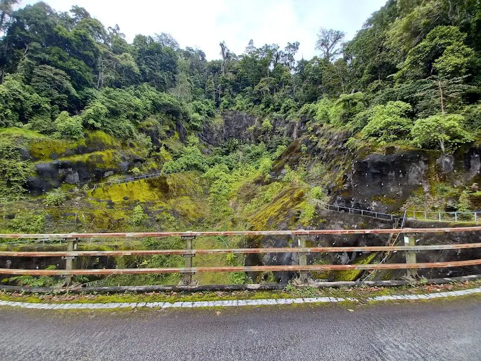 Jambatan Fraser's Hill (Bridge) Picture 2