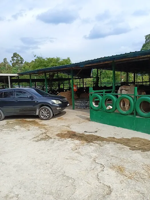 KAMBING YG ANEH ( KANDANG) Picture 9